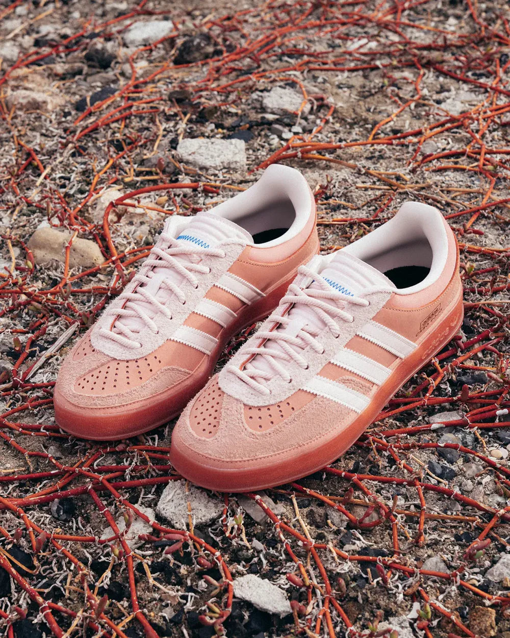 Adidas Gazelle Indoor Bad Bunny Cabo Rojo - 4