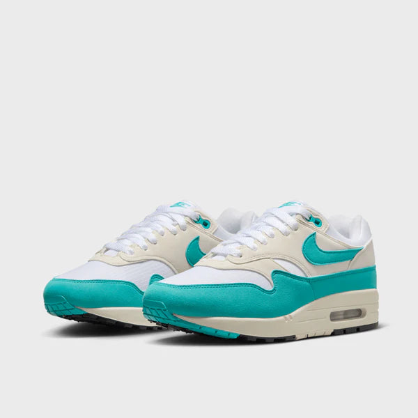 Nike Air Max 1 WMNS Dusty Cactus