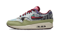 Nike Air Max 1 SP Concepts Mellow Nike