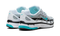 Nike P-6000 Dusty Cactus