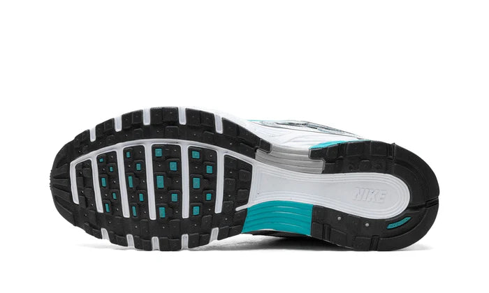 Nike P-6000 Dusty Cactus